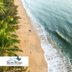 Cairns City Half Day Guided Tour - Palm Cove with tag Cairns City Half Day Guided Tour - Palm Cove with tag